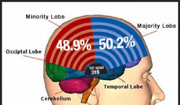 Nuovi studi sul cervello umano