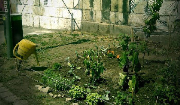 Guerrilla gardening, la nuova forma di protesta in Grecia