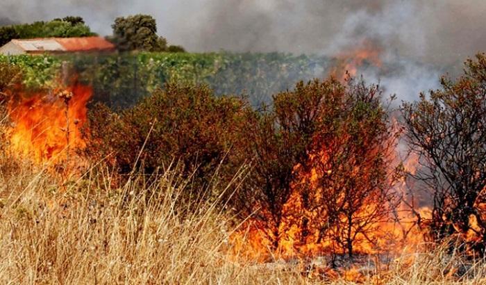 Mattarella: accertare le cause degli incendi