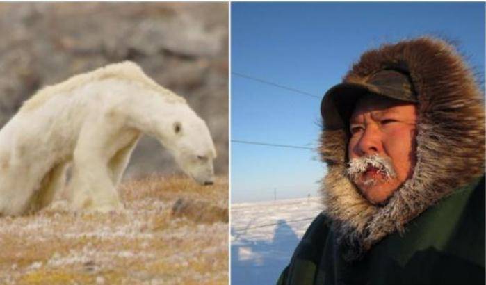 L'orso emaciato: non tutti credono che sia colpa dei cambiamenti climatici