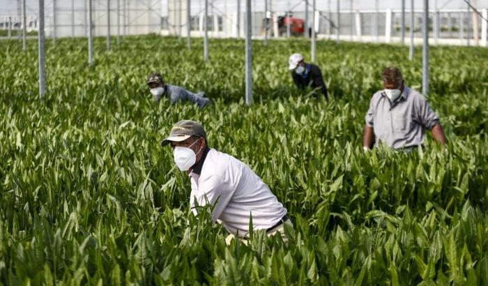 Regolarizzazione degli immigrati irregolari? Ecco perché è un'opportunità