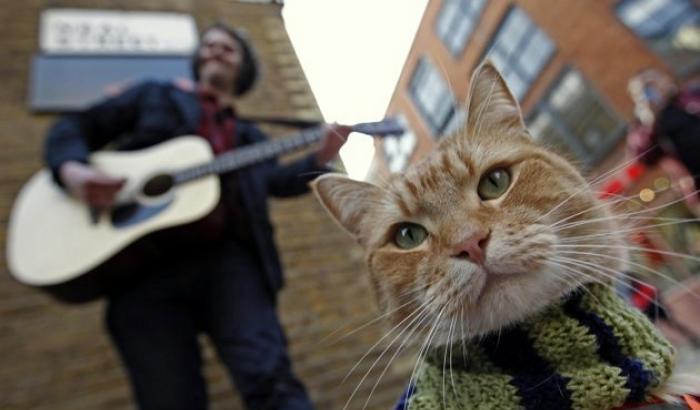 Addio a Bob, il gatto di strada che ha salvato il suo padrone ed è diventato un libro e un film