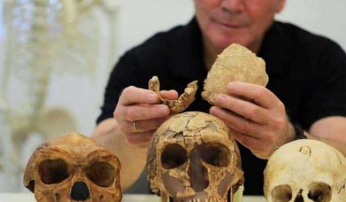 Nuova specie di 'Homo' arcaico scoperta in Israele