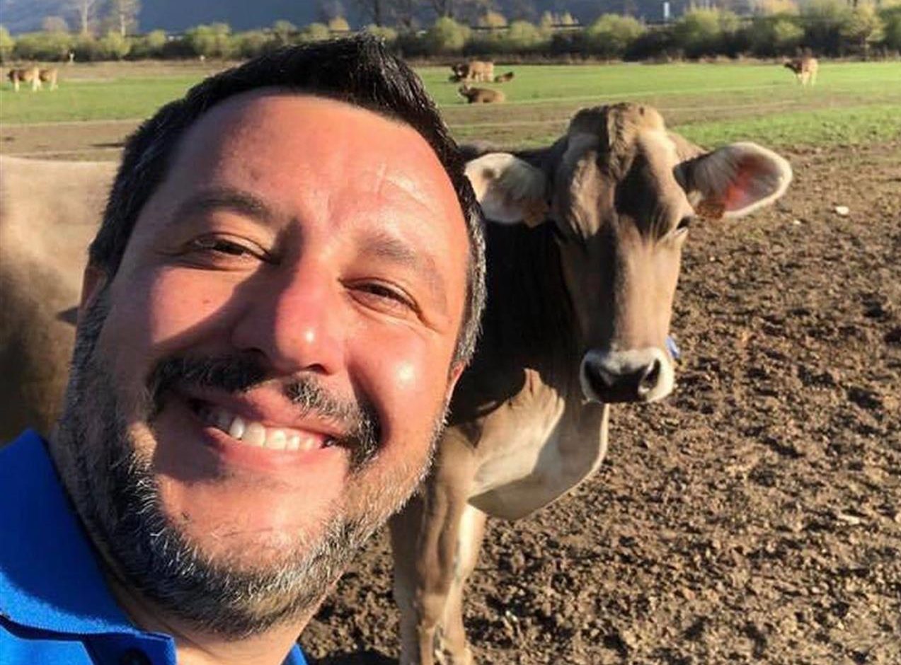 Salvini rivendica di aver affossato la legge Zan con una falsità: "Era una follia avrebbe cancellato quello che siamo"