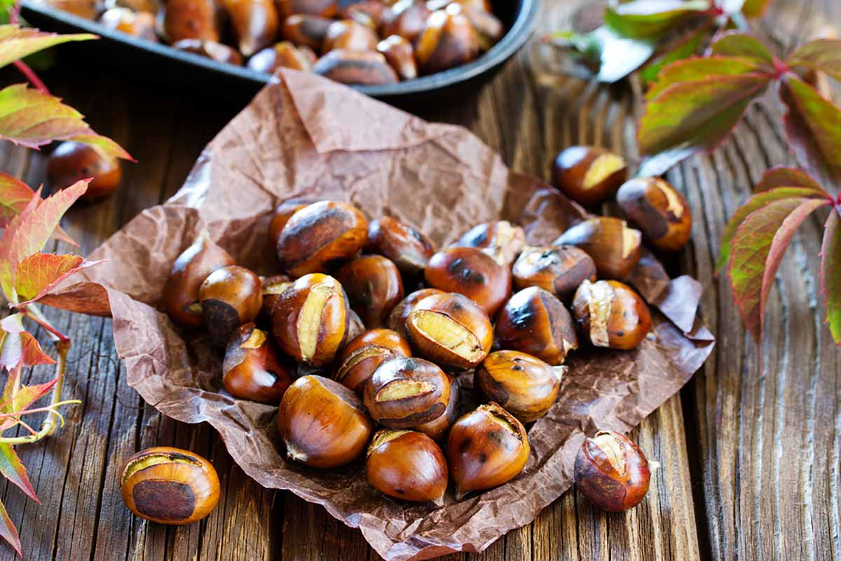 Le castagne aiutano ad abbassare l'indice glicemico: tutti i 'segreti'