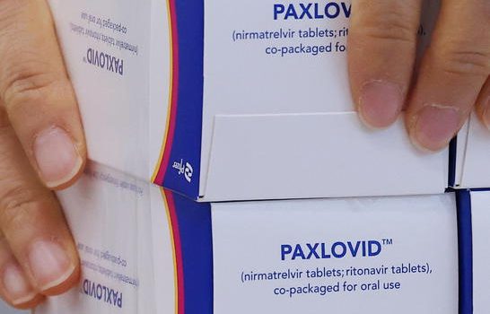Il virologo Clementi: "La pillola antivirale di Pfizer Paxlovid può ridurre la pressione sul sistema sanitario"