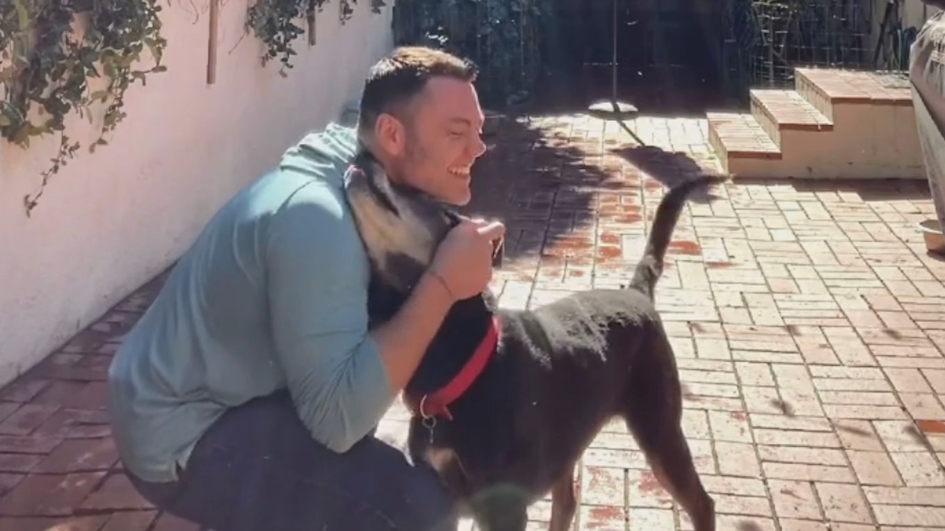 Tiziano Ferro salva un cane dall'eutanasia: "Benvenuto a casa Gianni"