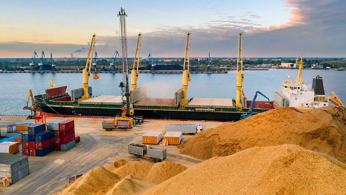 Crisi alimentare, la Russia risponde alle accuse: "E' colpa di Kiev, noi non impediamo l'esportazione di grano"