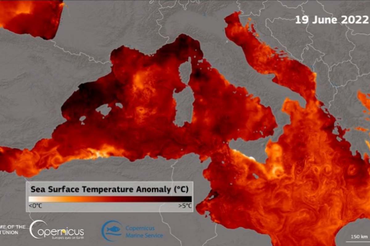 Il Mediterraneo si "tropicalizza": a luglio 5 gradi sopra la media