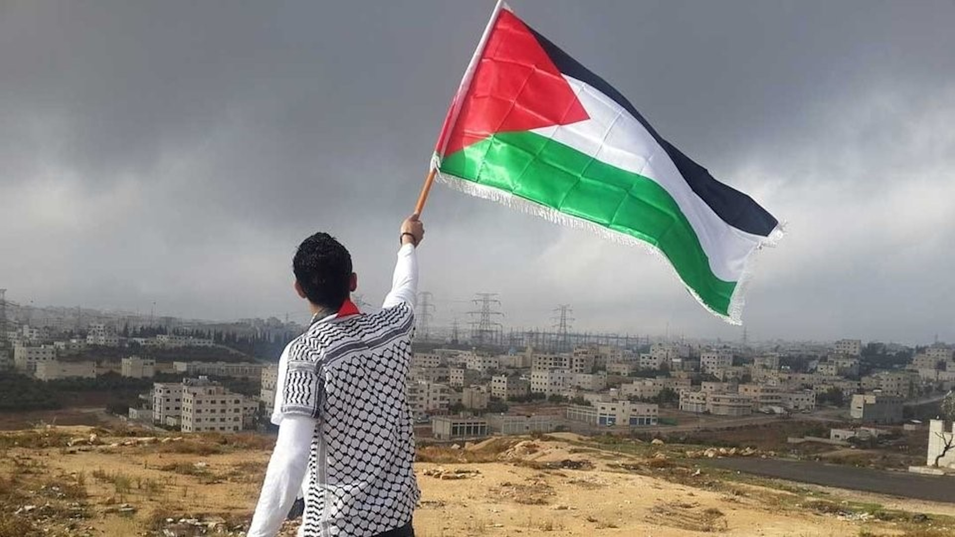 Palestina, l'esercito israeliano fa guerra alle Ong