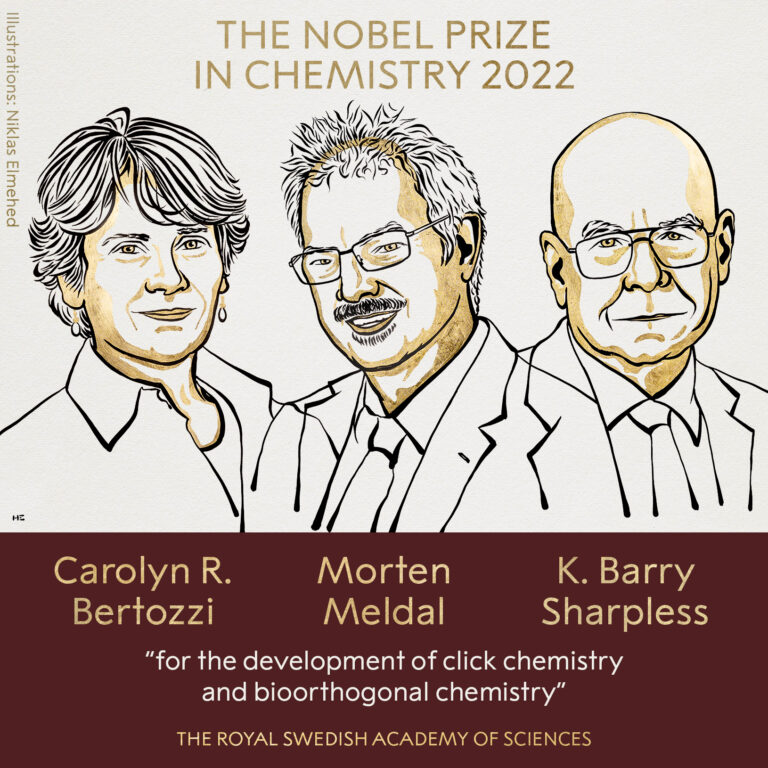 Nobel per la chimica a Bertozzi, Meldal e Sharpless: ecco perché