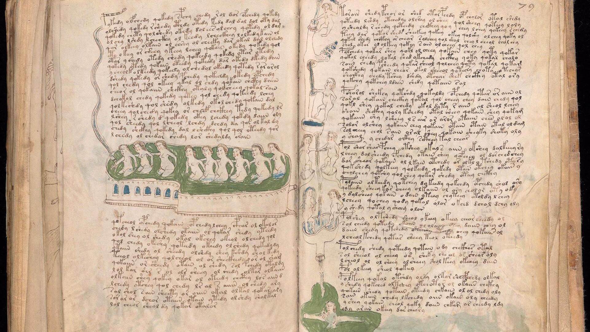Il mistero del Manoscritto di Voynich: il libro più misterioso al mondo è stato finalmente decifrato