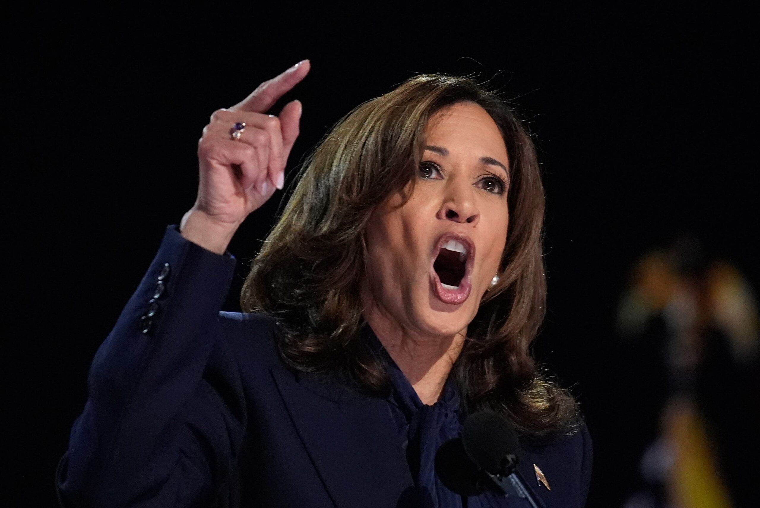 Kamala Harris accetta la nomination presidenziale e attacca Trump: "Non torneremo indietro"