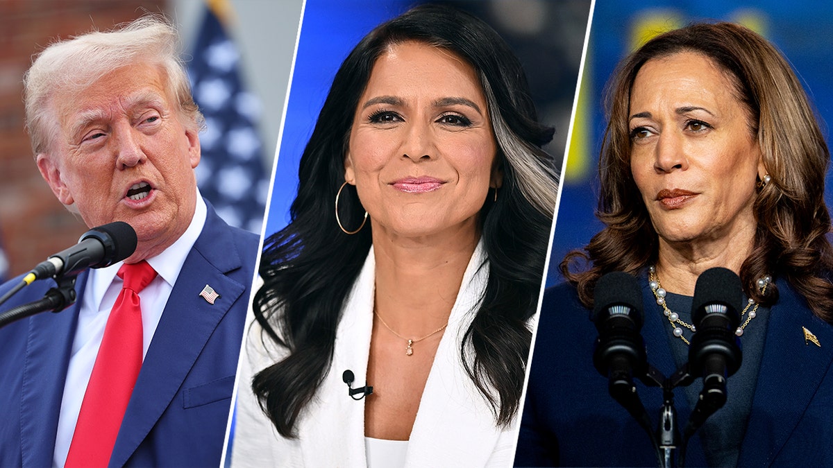 Trump si prepara al duello con Harris con l'aiuto di Tulsi Gabbard, ex democratica passata alla corte di Donald